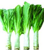 點此在新窗口瀏覽圖片