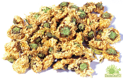 點此在新窗口瀏覽圖片