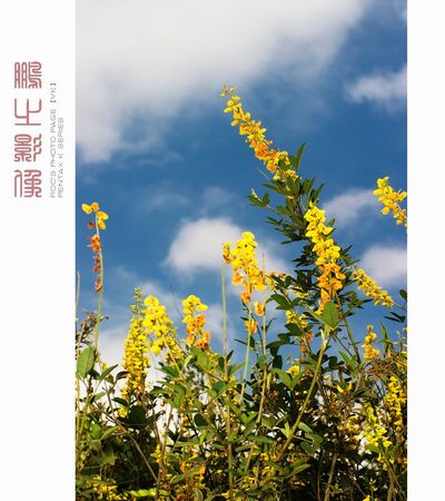 30歲熟女60天減22斤瘦身法